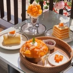 생방송투데이 서울 성수동 과일빙수 맛집 위치는? 제주애플망고빙수-복숭아빙수 등 역대급 폭염에 불티나는 디저트카페