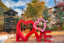 홍천 오션월드부터 토리숲까지 인기 명소 집중 조명