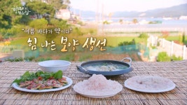 여름 바다에 담긴 건강…한국인의 밥상 최수종, 민어·농어·갯장어→삶의 지혜와 보양의 맛