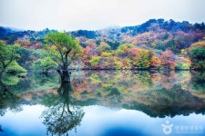청송 가볼 만한 곳, 주왕산 비경과 주산지 신비로움을 만나다