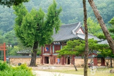 장성 여름날씨에 어울리는 피서지, 편백숲과 계곡·서원까지