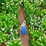 오늘N 통영 창포마을 목수국정원 카페 위치는? 바다 품은 힐링 명소