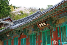 부산 금정구 맑은 날씨, 자연과 문화 모두 즐기기 좋은 장소 6곳