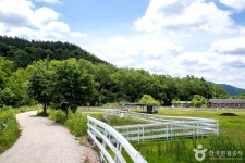 양평 날씨 무더위, 가볼 만한 자연 속 피서지와 체험 명소 추천