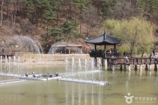 고령 날씨,  대가야생활촌부터 수목원까지 역사와 자연 함께 즐기기