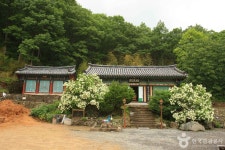 칠곡 맑은 날씨 속 금화계곡과 양떼목장에서 체험과 휴식