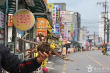 영덕 날씨 무더위, 대게의 맛과 자연의 숨결이 어우러진 곳