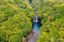 제주 서귀포 가볼 만한 곳, 웅장한 자연과 이색적인 체험이 공존하는 길