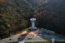 가을에 가볼 만한 곳, 영천의 예술과 고즈넉한 풍경이 어우러진 길