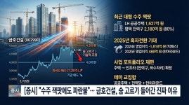 [분석] 수주 잭팟에도 파란불… 금호건설, 숨 고르기 들어간 진짜 이유