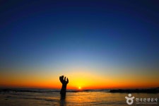 포항 가볼 만한 곳, 동해의 기상과 풍성한 미식이 가득한 도시