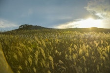 합천 가볼만한곳, 가야산 자락에서 만나는 자연 휴식지