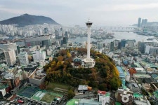 영화와 골목이 살아 있는 부산 중구 가볼 만한 곳