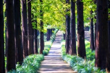 광주 가볼 만한 곳 7선… 5.18자유공원부터 충장로 맛집까지