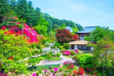 서울 근교 나들이, 가평 가볼 만한 곳 추천 코스