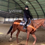 심이영 향기와 함께…실내 마장서 승마 근황