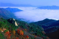 화천 가볼 만한 곳, 웅장한 자연과 밤하늘의 별빛이 공존하는 길