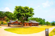 봄 햇살 속에서 즐기는 남양주 가볼 만한 곳