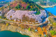 제천 가볼 만한 곳, 월악산 자락에서 즐기는 힐링 코스