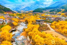 구례 가볼 만한 곳, 지리산과 섬진강 풍경 여행