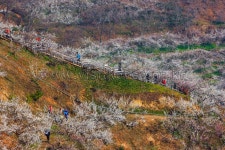 광양 가볼 만한 곳, 백운산자연휴양림과 전남도립미술관 여행