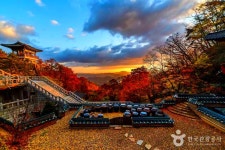 금산 가볼 만한 곳, 서대산부터 정원 카페까지