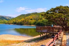 양산 가볼 만한 곳 필수 코스, 낙동강 따라 즐기는 여행