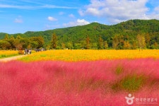 경남 의령 가볼 만한 곳, 한우산부터 의병 숲까지 추천 코스
