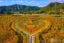 절경의 자연을 품은 경북 청송 가볼 만한 곳 추천