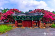 요즘 뜨는 군산 가볼 만한 곳, 근대 감성 핫플 총정리