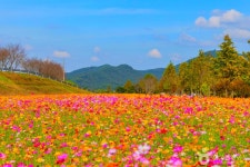 의령 가볼 만한 곳, 가족과 함께 즐기는 추천 코스