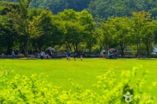 봄기운 따라 떠나는 용인 가볼 만한 곳