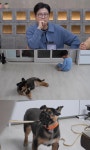 '개와 늑대의 시간2' 14회, 손주 위협하는 반려견 다온 갈등 폭로