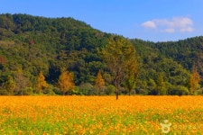 의령 가볼 만한 곳, 생태농장부터 한우산까지 추천 코스