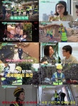 김숙, 쑥하우스 공사에 최홍만까지 소환…귤 농장 품앗이까지 총출동