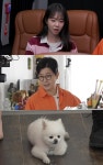 '개와 늑대의 시간2', 