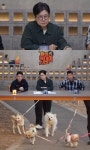 '개와 늑대의 시간2', 반려동물 두고 이혼 언급한 20대 부부 갈등