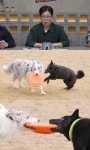 김성주, 