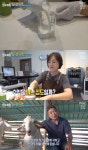 생방송오늘아침 진안 부귀면 산양유디저트 카페 위치는? 행복한 부부의 마이산 목장