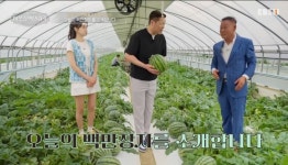 [종합] 수박 28개 옮기는 데 28초… 이웃집 백만장자 임장섭, 수박 유통 현장 공개