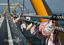 즐거움 낚으러 바람과 함께 바다 위를 걷는다