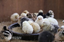 도심 속에 둥지 튼 새들의 천국으로 놀러오세요~