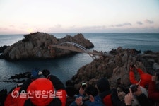 2015년 동구 대왕암 해맞이 행사 성황리에 열려