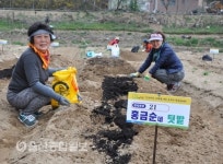 울산 중앙농협, 주말농장 개장식 실시