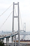 울대4교(하) | 국내 최장 현수교 '울산대교' 개통, 관광 시대 '활짝'