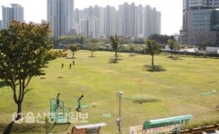 울산 남구, 태화강 파크골프 연습장 새단장