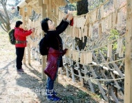 울산 북구, 2015 강동사랑길 걷기대회 개최