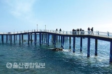 바람과 바다를 따라 걷는 블루로드
