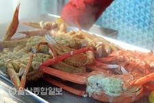 바람과 바다를 따라 걷는 블루로드