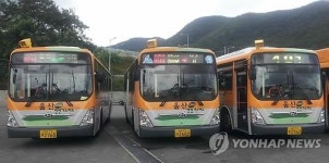 울산 버스 116대 중 54대에서 미준수 행위 적발